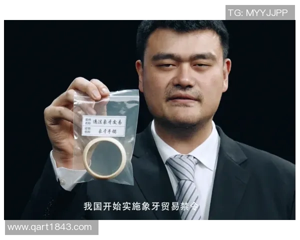 姚明在十九大上的发言引发热议运动员如何为国家发展贡献力量